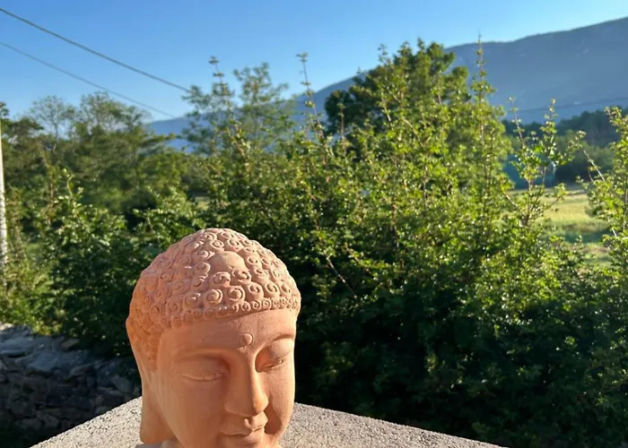 Istrian 普罗明